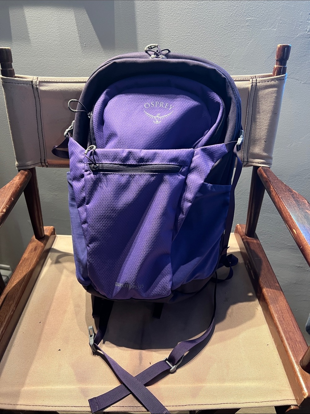OSPREY Purple Daylite Plus Pack